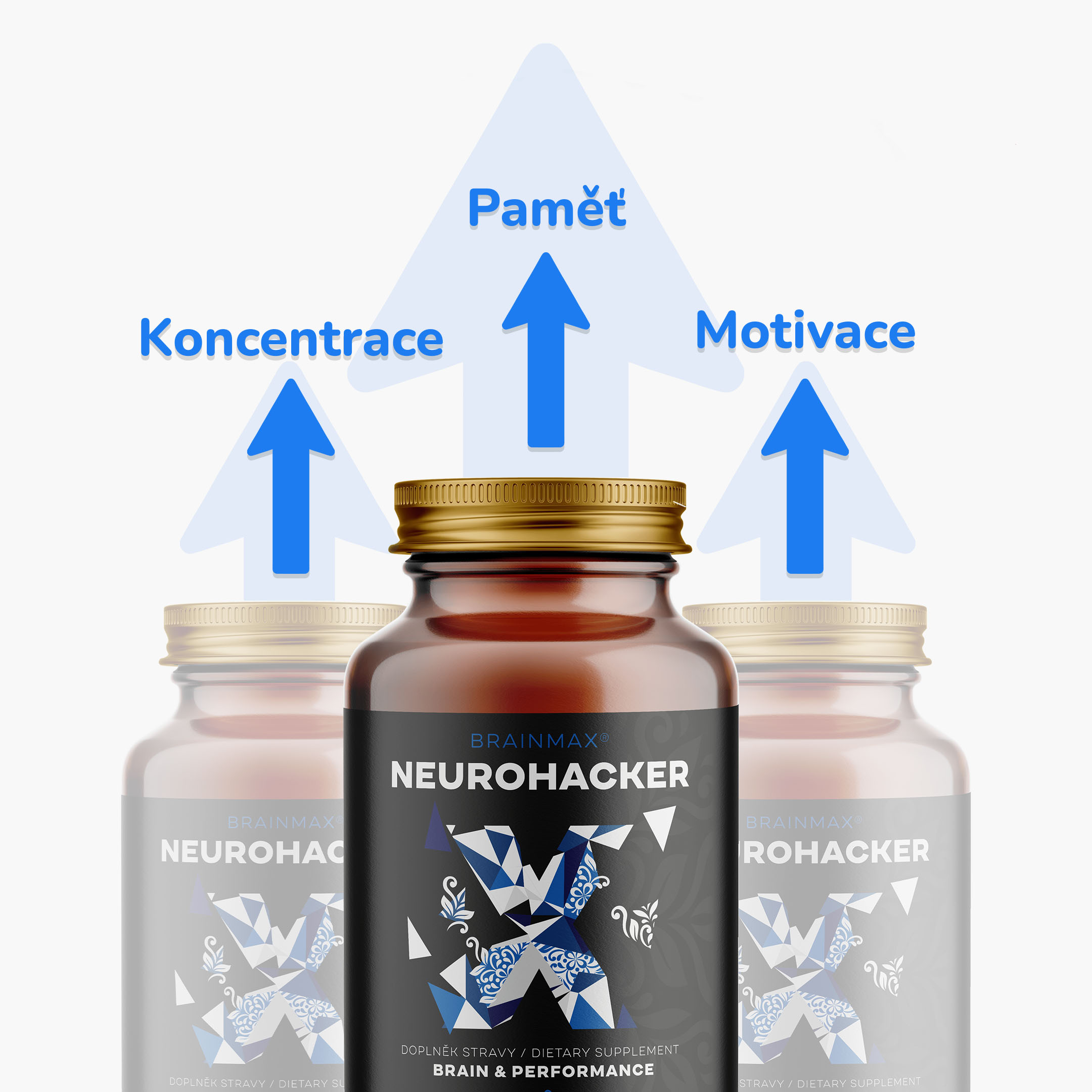 infografika mózgu neurohackera